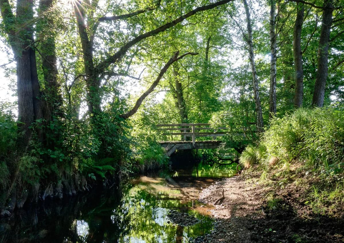 Genius loci – Sachsenwald