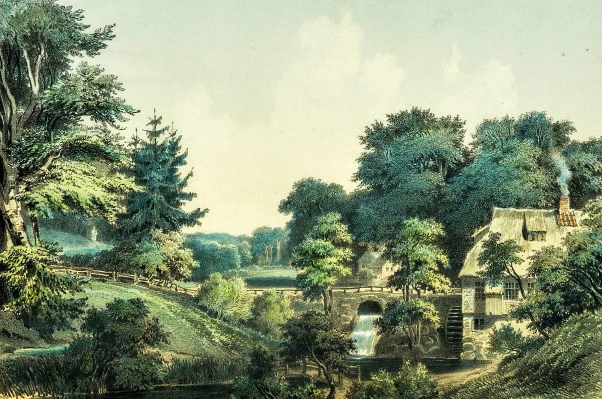 Sachsenwald-Rundgang