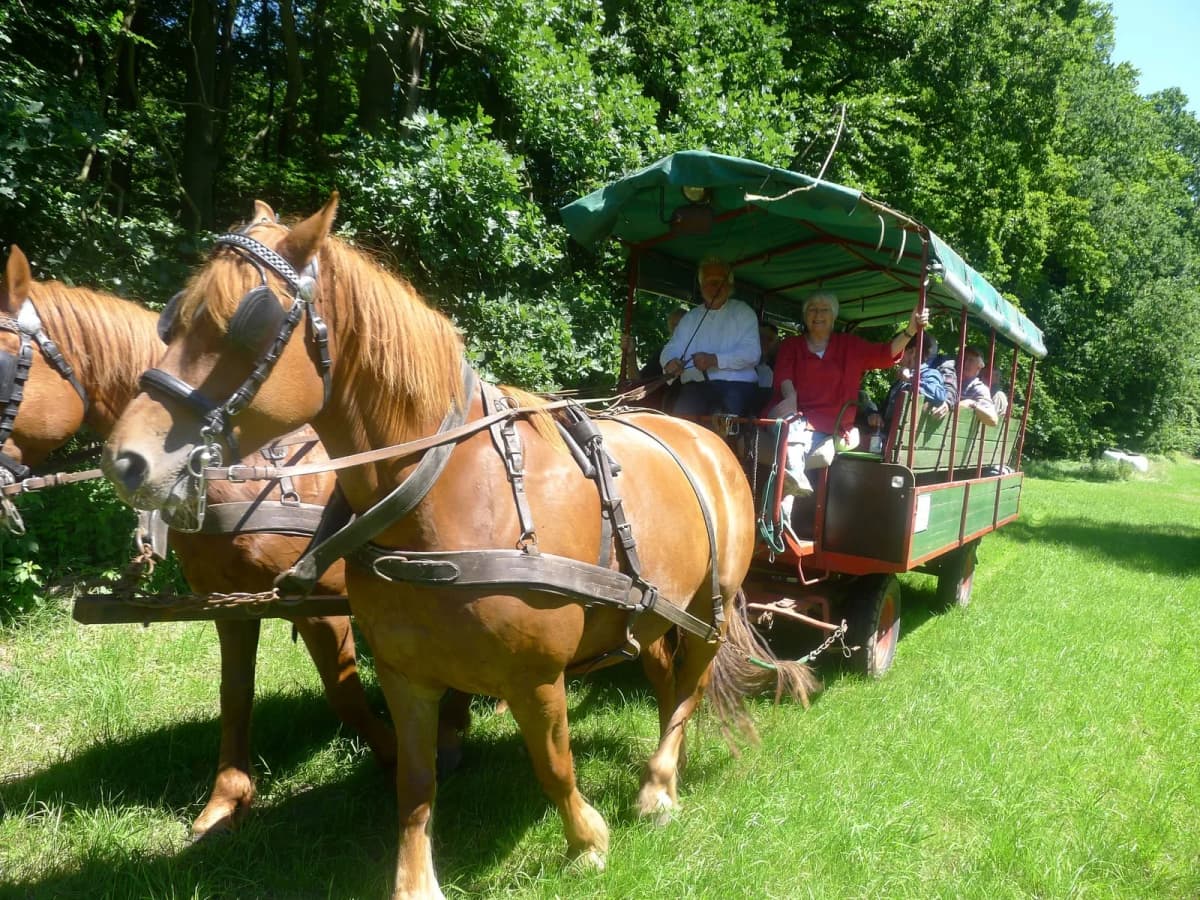 Literarische Kutschfahrt mit Gwendolin Fähser (Foto: Lutz Fähser)